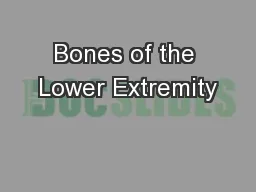 Bones of the Lower Extremity