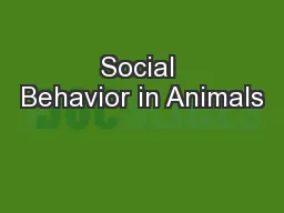 Social Behavior in Animals
