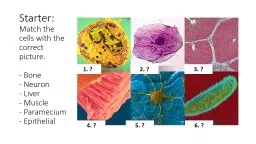Starter:  Match the cells with the correct picture.