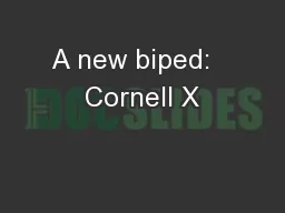 A new biped:   Cornell X