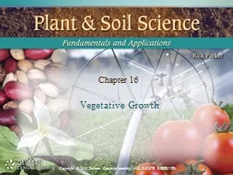 Chapter 16 Vegetative Growth
