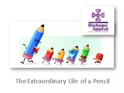 The Extraordinary Life of a Pencil