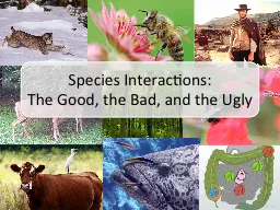 Species Interactions: The Good, the Bad, and the Ugly