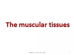 The muscular tissues 1 Prepared by : Amal Awad Al-Harbi