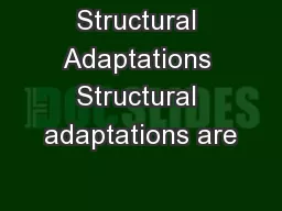 Structural Adaptations Structural adaptations are