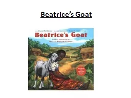 Beatrice’s Goat sturdy