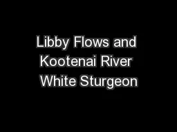 Libby Flows and Kootenai River White Sturgeon