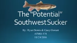 The “Potential”  Southwest Sucker