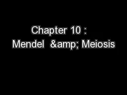 Chapter 10 :   Mendel  & Meiosis
