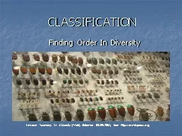 CLASSIFICATION Finding Order In Diversity