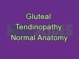 Gluteal Tendinopathy Normal Anatomy