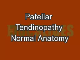 Patellar Tendinopathy Normal Anatomy