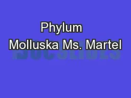 Phylum  Molluska Ms. Martel