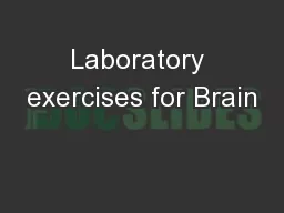 Laboratory exercises for Brain