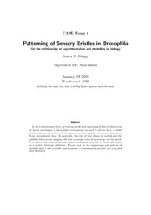 CASE Essay  Patterning of Sensory Bristles in Drosophi