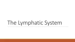 The Lymphatic System Lymphatic System