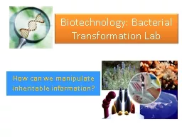 Biotechnology: Bacterial Transformation Lab