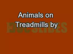 Animals on Treadmills by