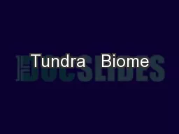 Tundra   Biome