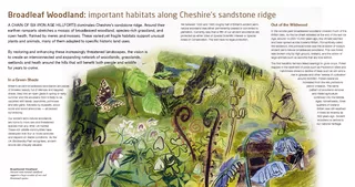 Board leaf woodland important habits along cheshire's sandstone ridge