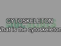 CYTOSKELETON What is the cytoskeleton?