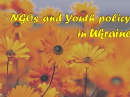 NGO s  and Youth policy in