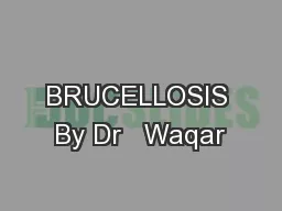 BRUCELLOSIS By Dr   Waqar