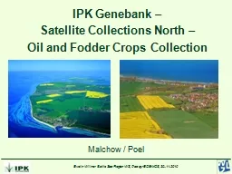 IPK Genebank –  Satellite Collections North –