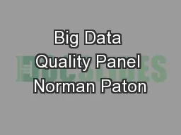 Big Data Quality Panel Norman Paton