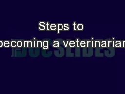 Steps to becoming a veterinarian