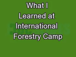 What I Learned at International Forestry Camp