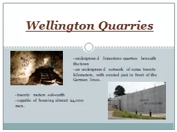 Wellington Quarries -  underground