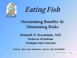 Eating Fish   Maximizing Benefits &