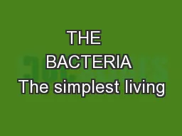 THE   BACTERIA The simplest living
