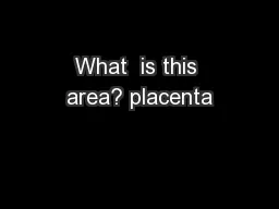 What  is this area? placenta
