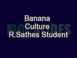 Banana Culture R.Sathes Student