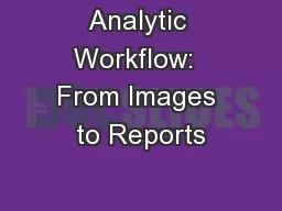 Analytic Workflow:  From Images to Reports