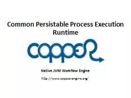 Common Persistable Process Execution Runtime