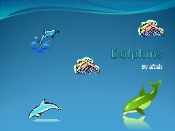 Dolphins By  afrah What do they eat