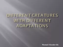 Different creatures with different adaptations