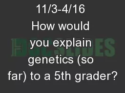 Warmup   11/3-4/16 How would you explain genetics (so far) to a 5th grader?