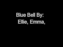 Blue Bell By:  Ellie, Emma,