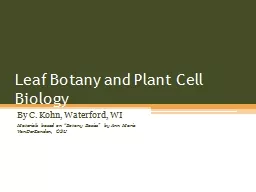 Leaf Botany and Plant Cell Biology