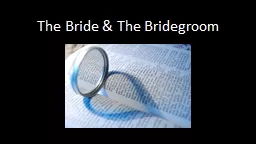 The Bride & The Bridegroom
