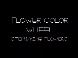 Flower color Wheel Stem dying flowers
