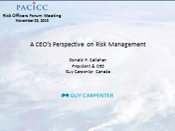 A CEO’s Perspective on Risk Management