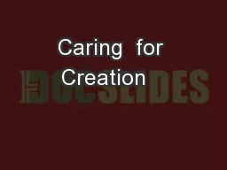 Caring  for Creation    
