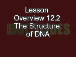 Lesson Overview 12.2 The Structure of DNA