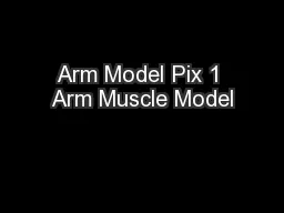 Arm Model Pix 1 Arm Muscle Model