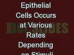 Apoptosis in Epithelial Cells Occurs at Various Rates Depending on Stimuli
